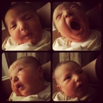 The Many Faces of Norah